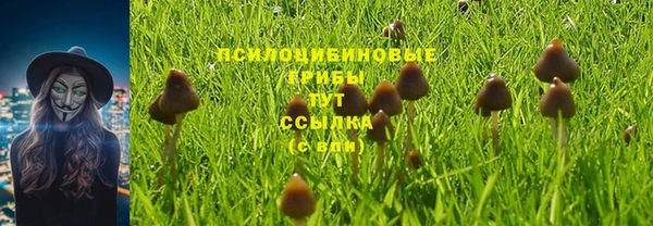 синтетический гашиш Сатка