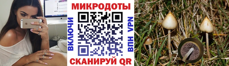 Галлюциногенные грибы Psilocybine cubensis  блэк спрут маркетплейс  Полесск 
